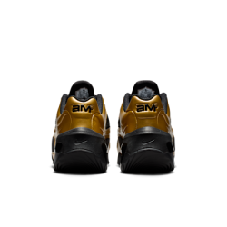 Nike Air Max Muse ACG - Pour toutes conditions et aventures